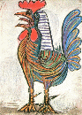 picass6e.gif,he Cock (193?-38) , Picasso,oil, private collection, New York