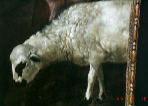 photo by cls-Velazquez-sheep detail