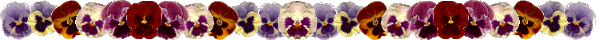 pansy.gif