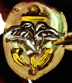 sutton_cuff_link1d_faberge.jpg, by Carol Sutton